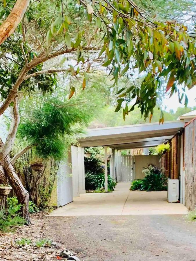 Marengo Beach Studios- Pet Friendly מראה חיצוני תמונה