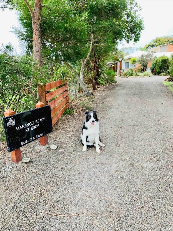 Marengo Beach Studios- Pet Friendly מראה חיצוני תמונה